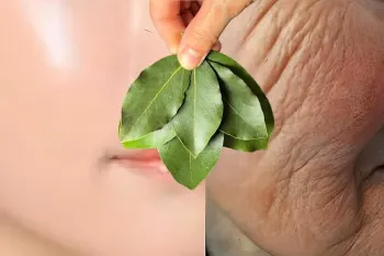 نحوه ساخت کرم کلاژن ساز قوی با برگ بود / ۱۰۰۰ برابر قوی تر از بوتاکس