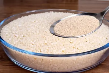یک قاشق مخمر روی برنج بریزید / طرز تهیه شام رستورانی و خوشمزه با برنج و مخمر