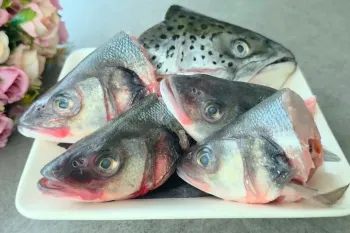 طرز تهیه خوراک با کله ماهی؛ کله ماهی رو دور ننداز که بمب طعمه!