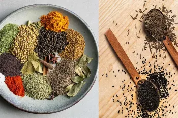 لیست ادویه های مخصوص هر غذا / هر غذا چه ادویه ای میخواد ؟
