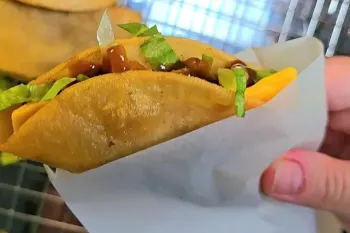 طرز تهیه فست فود سریع و ۵ دقیقه ای با موادی ارزان