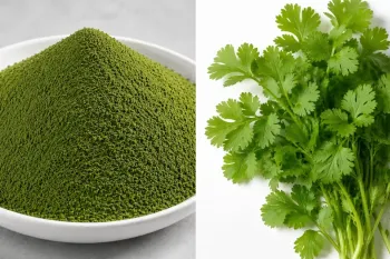 پودر گشنیز خانگی درست کنید و به مدت ۱ سال نگهداری کنید