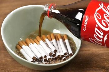 آموزش ساخت محلول دفع حشرات و پاک کننده خانگی با نوشابه سیگار