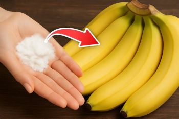 بهترین روش نگهداری از موز برای سیاه و له نشدن آن