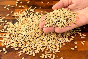 طرز تهیه دو معجون خانگی برای تقویت قلب و استخوان