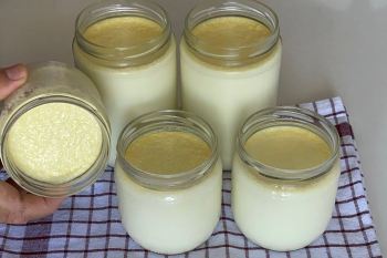 طرز تهیه ماست خانگی سفت و چکیده بدون آب انداختن در شیشه مربا