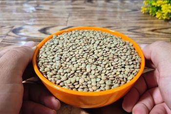 طرز تهیه ناهار سریع و آسون با ۱ لیوان عدس
