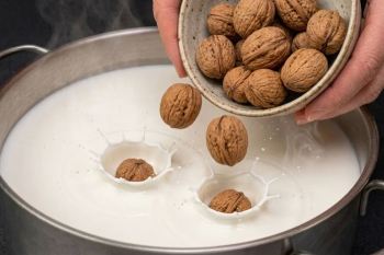 طرز تهیه پنیر گردویی بدون نیاز به مایه پنیر در ۳ ساعت