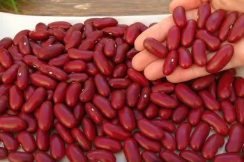 طرز تهیه خوراک لوبیا قرمز اسپانیایی خوشمزه و خاص
