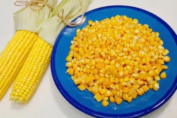 ترفند طلایی برای دانه کردن ذرت سریع، راحت، بدون دردسر!