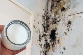 یک روش خانگی و طبیعی حذف کپک و رطوبت از دیوارها