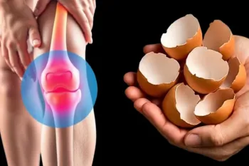 پوست تخم مرغ را دور نریز؛ نحوه درست کردن پودر پوست تخم مرغ با کاربردهای حیرت انگیز