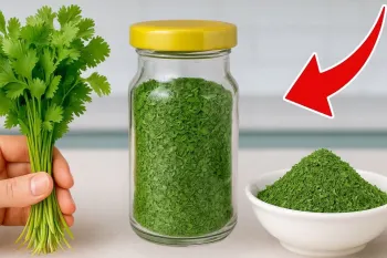 چگونه در خانه در عرض فقط ۱۰ دقیقه پودر گشنیز درست کنیم ؛ آسان و ساده