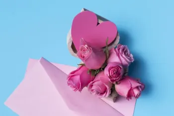گل رز صورتی نماد چیست و چه موقع باید آن را هدیه داد ؟