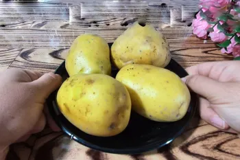وقتی فقط سیب زمینی دارم این خوشمزه رو می پزم! همه عاشقش می شن!