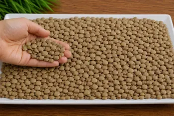 فقط با عدس این غذای مقوی و خوشمزه را درست کن! | سریع، سالم و اقتصادی برای ناهار و شام