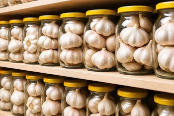 چگونه سیر را برای یک سال کامل بدون خشک شدن یا جوانه زدن نگهداری کنیم؟