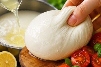 طرز تهیه پنیر موتزارلا در خانه با شیر و لیمو؛ فقط با ۲ ماده اولیه