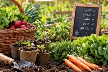 تقویم کاشت سبزیجات در مهرماه ؛ این سبزیها را حتماً بکارید