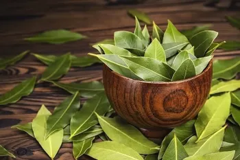 آیا میدونستی میشه از برگ بو برای پخت غذا استفاده کرد؟