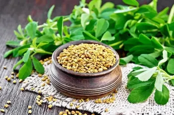 آیا شنبلیله زیاد خورش را تلخ می کند؟ بررسی تاثیر مقدار شنبلیله بر طعم خورش