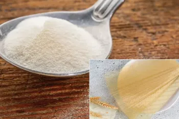 انواع و نحوه استفاده از پودر و ورق ژلاتین