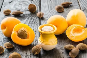 زردآلو: خواص، مضرات و طبع میوه تابستانی