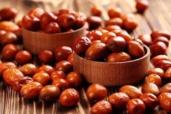 خواص، مضرات و طبع میوه سنجد: از درمان پوکی استخوان تا تقویت دستگاه گوارش