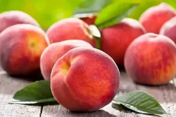 هلو: خواص، مضرات و طبع میوه تابستانی