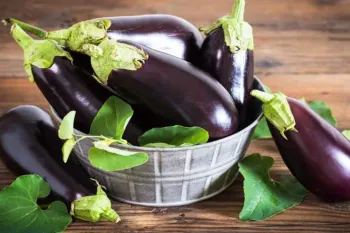بادمجان: از خواص شگفت انگیز تا مضرات احتمالی