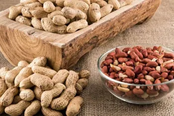 بادام زمینی: از خواص شگفت انگیز تا عوارض احتمالی