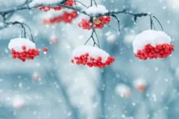 شعر زیبای زمستون از جعفر ابراهیمی برای کودکان