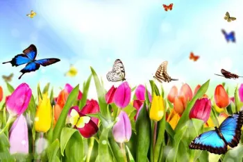 شعر کودکانه فوق العاده احساسی بنام رقص باد، خنده ی گل