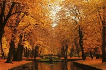 ضرب المثل های معروف در مورد پاییز