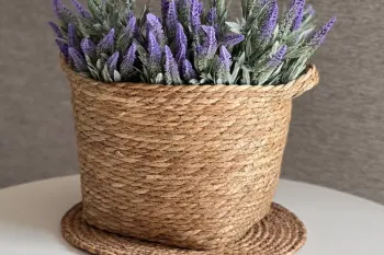 اسطوخودوس فرانسوی گیاهی مقاوم با گل های معطر و خواص دارویی