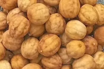 دیگه لازم نیست لیمو عمانی بخری، بیا بهت یاد بدم تو خونه لیمو عمانی بازاری درست کنی !