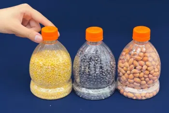 6 ایده بازیافت بطری های پلاستیکی که آرزو می کنید زودتر می دانستید !