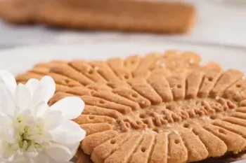 دانلود صدای خوردن بیسکویت، بامزه و شنیدنی !