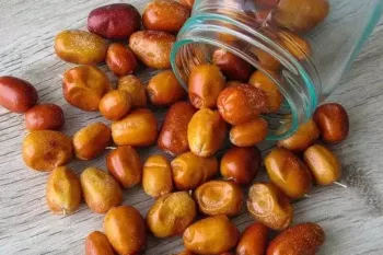 طبع سنجد و مصلحات آن چیست ؟