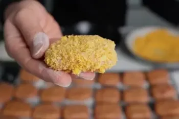 طرز تهیه غذای نیمه آماده برای مواقعی که نمیتونی غذا درست کنی !