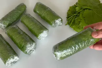 نحوه نگهداری برگ مو در فریزر / بدون نمک و بدون جوشاندن !