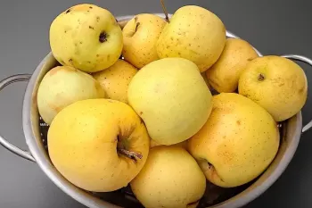 یک روش جادویی برای استفاده از سیب های مونده، معجزه ای برای سلامتی !