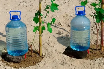 ساخت سیستم آبیاری قطره ای با دبه آب به صورت مرحله به مرحله