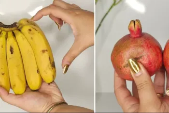 20 روش برای خریدن بهترین و تازه ترین میوه و سبزیجات / روش نگهداری و تازه نگه داشتن طولانی میوه