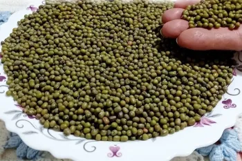 طرز تهیه ماش پلو خوشمزه / صد برابر خوشمزه تز از گوشت