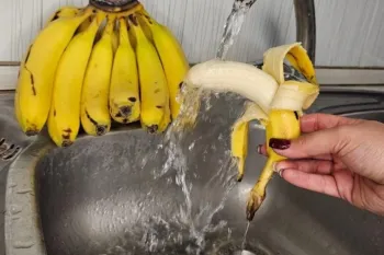 صفر تا صد نگهداری و سالم و تازه نگه داشتن میوه و سبزیجات برای مدت طولانی / راز تازگی میوه و سبزیجات