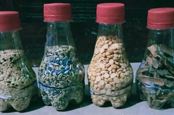 ایده خلاقانه: ساخت جای حبوبات از بطری پلاستیکی