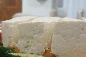 طرز تهیه پنیر خانگی خوشمزه با ساده ترین روش