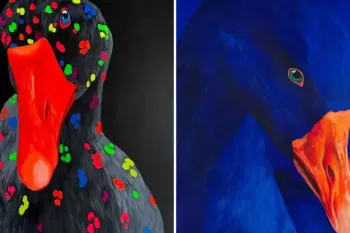 نقاشی های سورئال از غاز اثر ایوانکا نچیپوروک عجیب اما زیبا