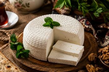 طرز تهیه پنیر خانگی با ماست؛ پنیر نرم، خوش طعم و بدون مواد نگهدارنده
